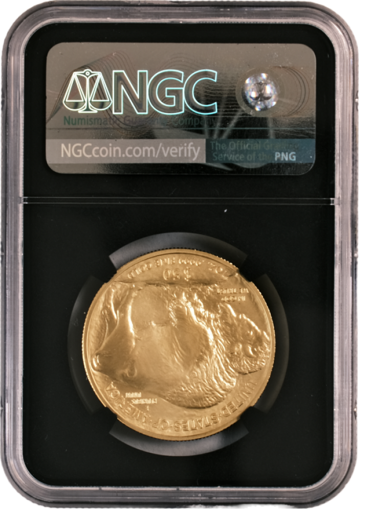 2008 W Gold Buffalo Burnished $50 MS70 NGC Anna Cabral - Image 2